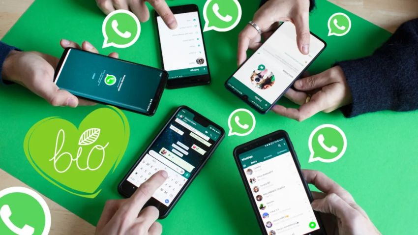 RADIO NEWS Cara Sadap WhatsApp hanya dengan Nomor HP Tanpa Aplikasi