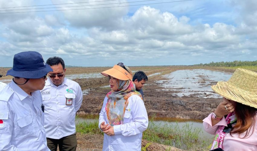 Dukung Pertanian Modern di Kapuas, Kementan Dampingi Petani Milenial