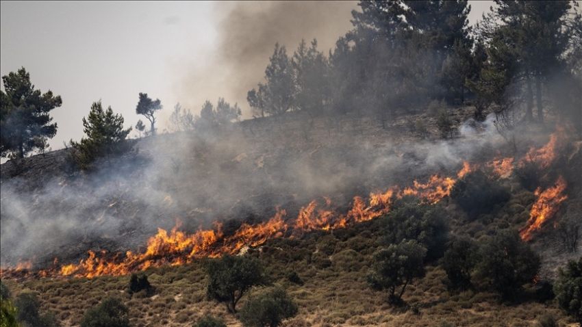 STATION NEWS Hizbullah Tembakkan 30 Roket ke Israel Utara, Picu Kebakaran Besar