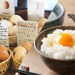 RADIO NEWS Kenapa Orang Jepang Suka Makan Telur Mentah? Ternyata Ini Alasannya