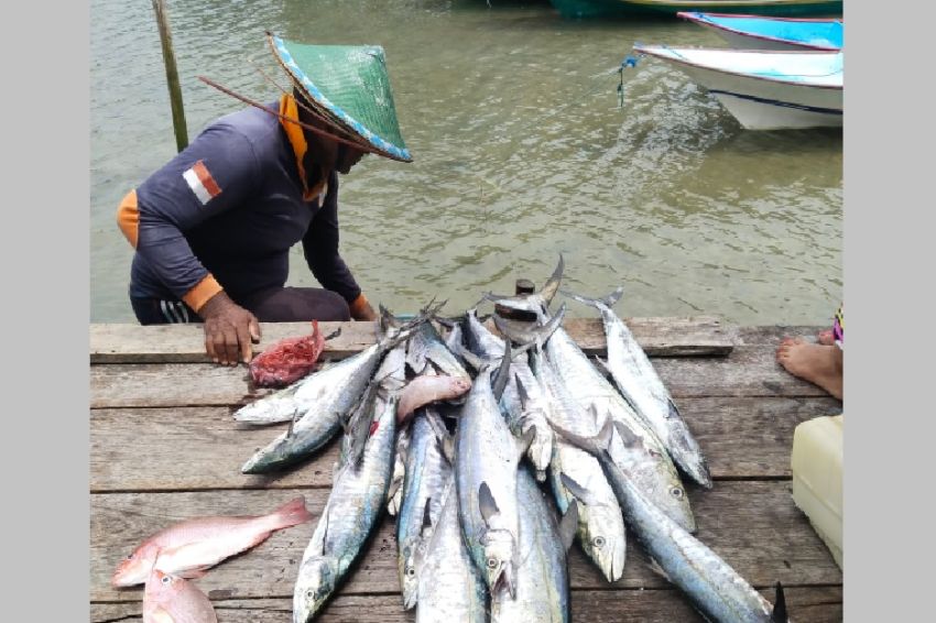 RADIO STATION Olah Kakap Putih Jadi Abon, Warga di Arguni Fakfak Raup Pendapatan Belasan Juta Rupiah