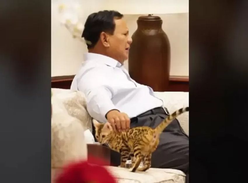 Seperti Prabowo, 12 Presiden Amerika Ini Juga Pelihara Kucing