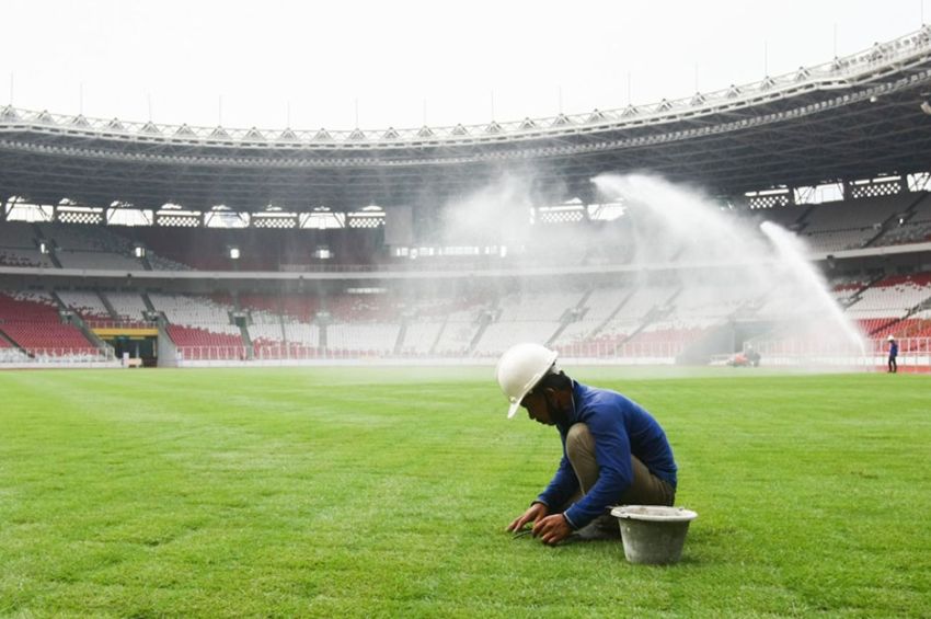 3 Penyebab Rumput Stadion GBK Kurang Bagus Menurut Pemain Jepang