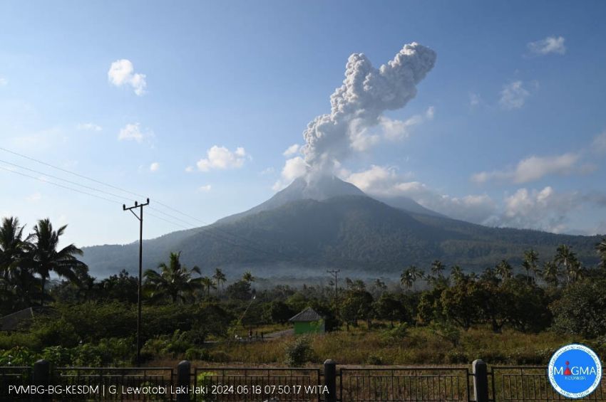 BNPB: Radius 7 Km dari Gunung Lewotobi Laki-Laki Harus Dikosongkan