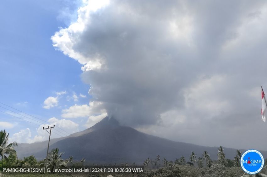 Gunung Lewotobi Laki-laki Kembali Meletus, Luncurkan Abu Vulkanik 1.000 Meter