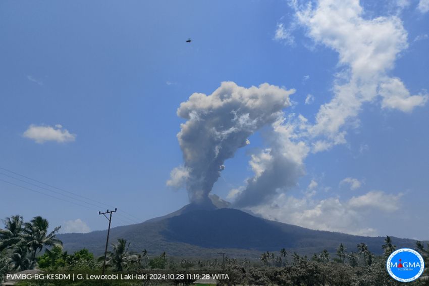 Gunung Lewotobi Laki-laki Meletus, Luncurkan Abu Vulkanik 1.000 Meter