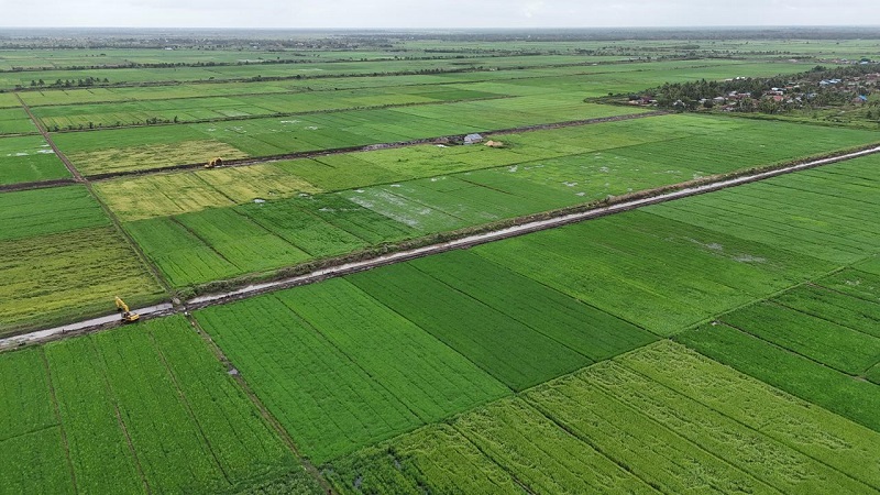 Kementan Jelaskan Produksi Beras di Tengah El Nino Berkepanjangan Tahun 2024