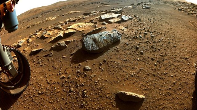 Kondisi Tanahnya Subur, Planet Mars Siap Ditanami Pepohonan