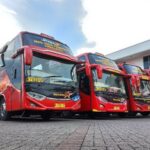 Lumba-lumba Darat, PO Sugeng Rahayu Rilis Empat Bus Baru