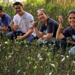 MNC Peduli Berikan CSR Bibit Mangrove, Petani Lampung Timur Berharap Kerja Sama Bisa Berlanjut