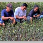 MNC Peduli dan Hotel Golden Tulip Springhill Dukung Petani Tingkatkan Ekologi Hutan Mangrove di Lampung Timur