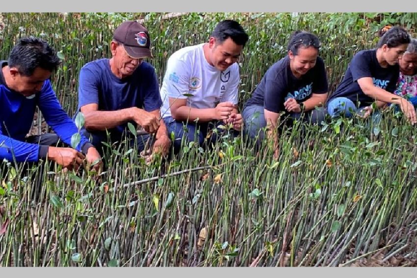 MNC Peduli dan Hotel Golden Tulip Springhill Dukung Petani Tingkatkan Ekologi Hutan Mangrove di Lampung Timur