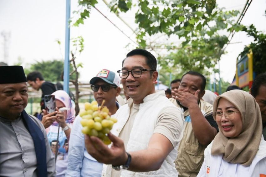 Ridwan Kamil Komitmen Manfaatkan Lahan untuk Kebun Kota dan Urban Farming