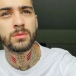 Riwayat Pendidikan Zayn Malik, Rekan Liam Payne di One Direction