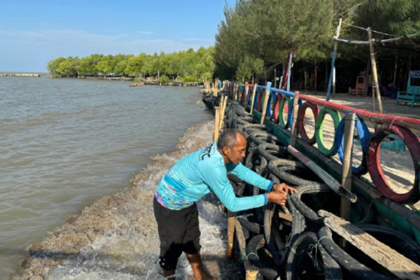 Teknologi Appostraps, Ikhtiar Selamatkan Daratan dengan Ban Bekas