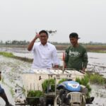 Wamentan Sudaryono: Program Optimalisasi Lahan Rawa di Merauke Tunjukkan Hasil Signifikan