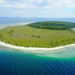 12 Pulau di Indonesia dengan Nama Hewan, Nomor 3 Dihuni Ratusan Ular Laut