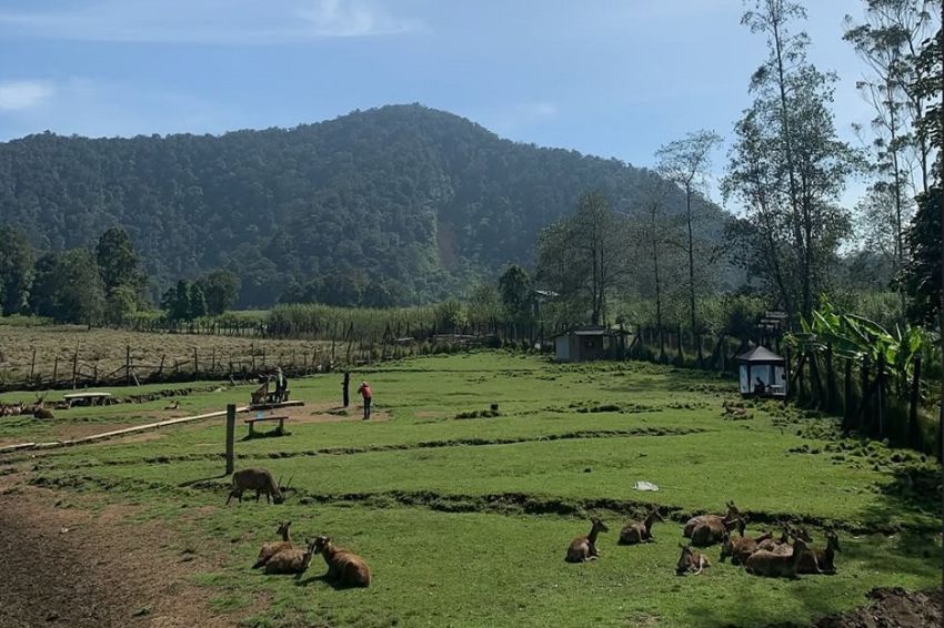 8 Rekomendasi Tempat Wisata Kebun Binatang di Bandung, Jadi Pilihan di Libur Akhir Tahun