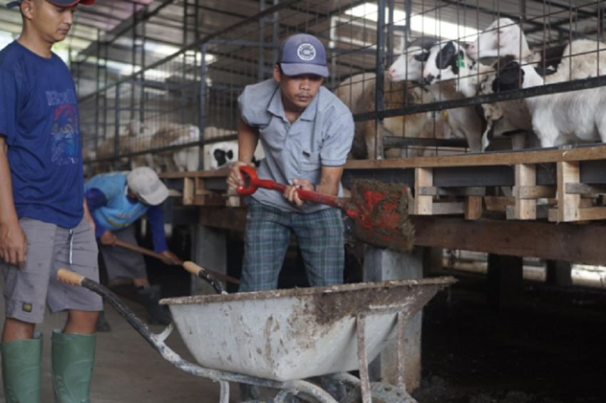 Akademisi Universitas Mataram Apresiasi Program UPPO-Biogas