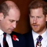 Bukan Meghan Markle atau Kate Middeton, Ini Wanita yang Bisa Damaikan Pangeran Harry dan William