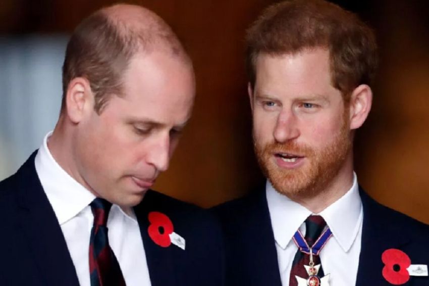 Bukan Meghan Markle atau Kate Middeton, Ini Wanita yang Bisa Damaikan Pangeran Harry dan William