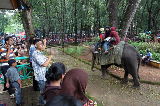 Daftar Cuti Bersama 2025, Referensi Buat Liburan Anak Sekolah