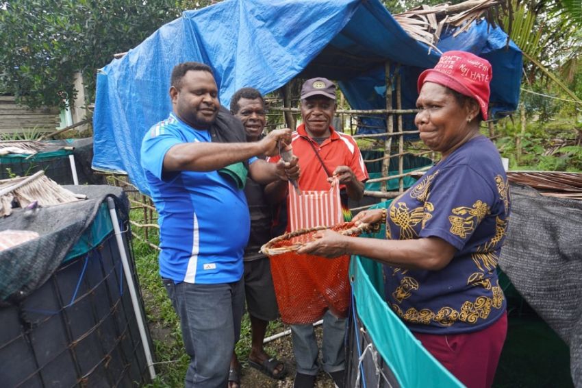 Gandeng TEKAD, Warga Mosun Maybrat Berdaya dengan Perikanan Ikan Tawar