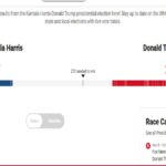 Hasil Sementara Pilpres AS 2024: Donald Trump 205 vs Kamala Harris 117