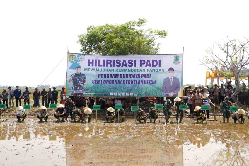 Juara Karya Indonesia dan Korem 063/SGJ Tanam Perdana Padi di Karawang