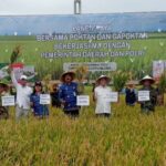 Panen Perdana di Cepu, Pemkab Blora dan WPI Kerja Sama Dukung Ketahanan Pangan