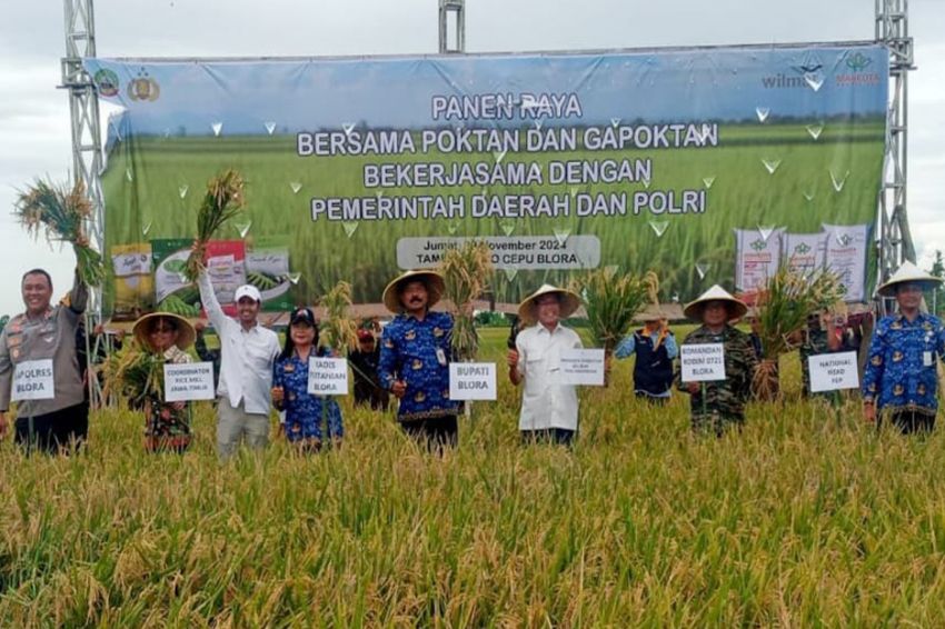 Panen Perdana di Cepu, Pemkab Blora dan WPI Kerja Sama Dukung Ketahanan Pangan