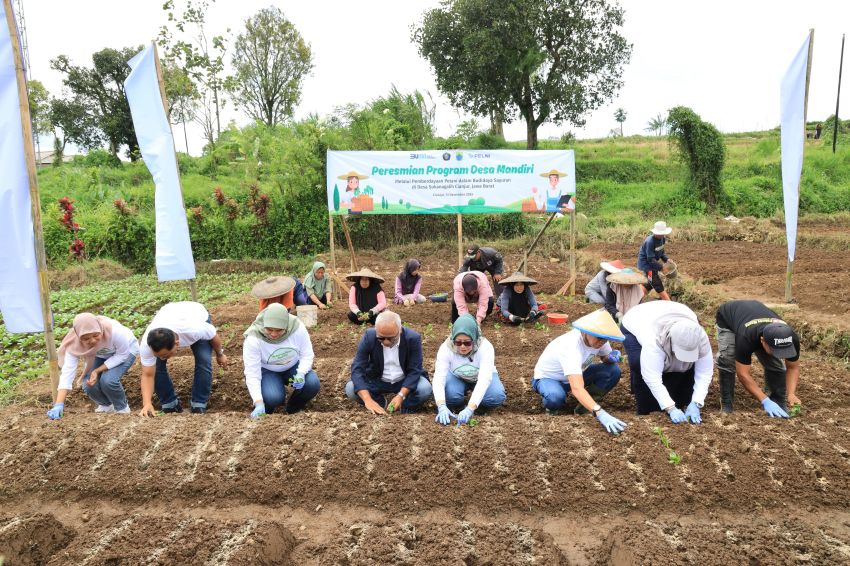 Pelni Kembangkan Desa Mandiri di Cianjur, Tingkatkan Kualitas Pertanian Lokal