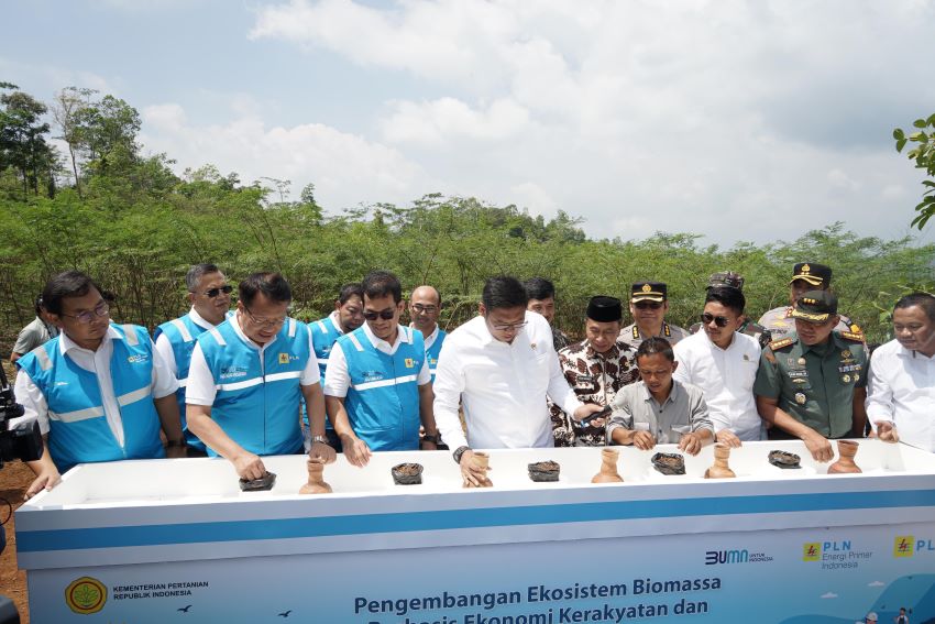 Peluang Ekonomi Baru, Ekosistem Biomassa di Tasikmalaya Dikembangkan Jadi 100 Ha