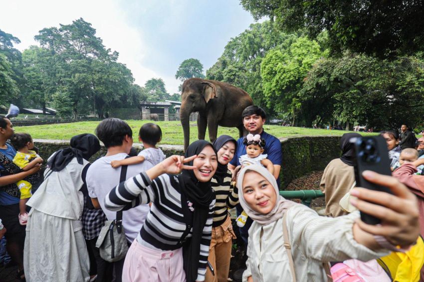 Peribahasa Menggunakan Kata Kandang Lengkap dengan Maknanya