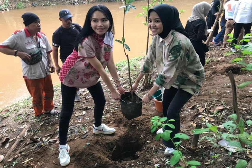 RK Pink Tanam Pohon di Kali Ciliwung, Implementasi Program Ridwan Kamil-Suswono Majukan Lingkungan Jakarta