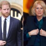 Sikap Pangeran Harry ke Raja Charles III Buat Ratu Camilla Marah Besar