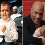 Video Gendong Hasbulla Viral, Mike Tyson: Saya Kira Dia Bayi!