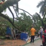 56 Rumah di Lebak Rusak dan 7 Pohon Tumbang Disapu Angin Kencang