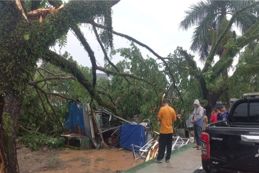 56 Rumah di Lebak Rusak dan 7 Pohon Tumbang Disapu Angin Kencang