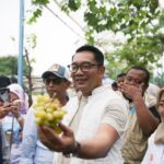 Blusukan ke Agro Eduwisata di Kembangan, Ridwan Kamil Paparkan Program Urban Farming