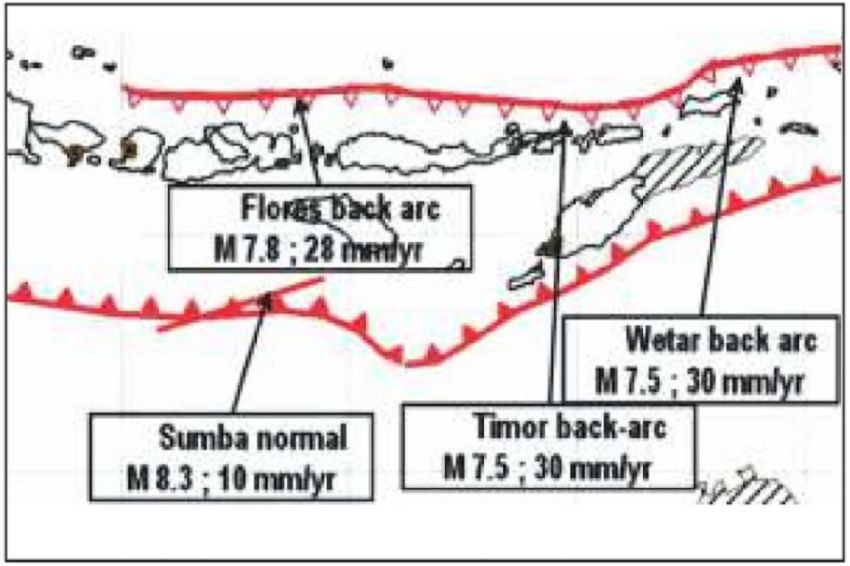 Flores Back Arc Thrust, Pemicu Gempa dan Tsunami Mematikan 12 Desember 1992