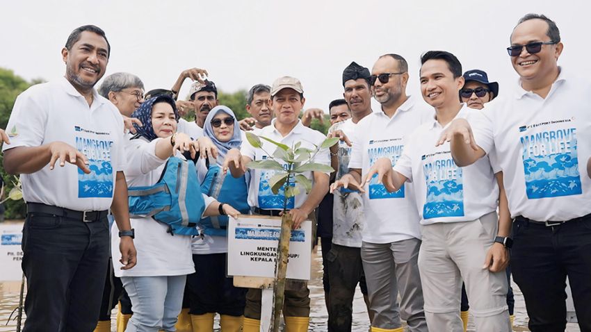 Freeport Indonesia Pulihkan Ekosistem Mangrove Lewat Program Mangrove for Life