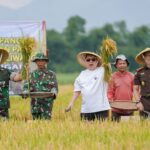 Garap Pertanian dengan Drone, TNI AD-Yayasan Merah Putih Kasih Panen Raya di Bandung