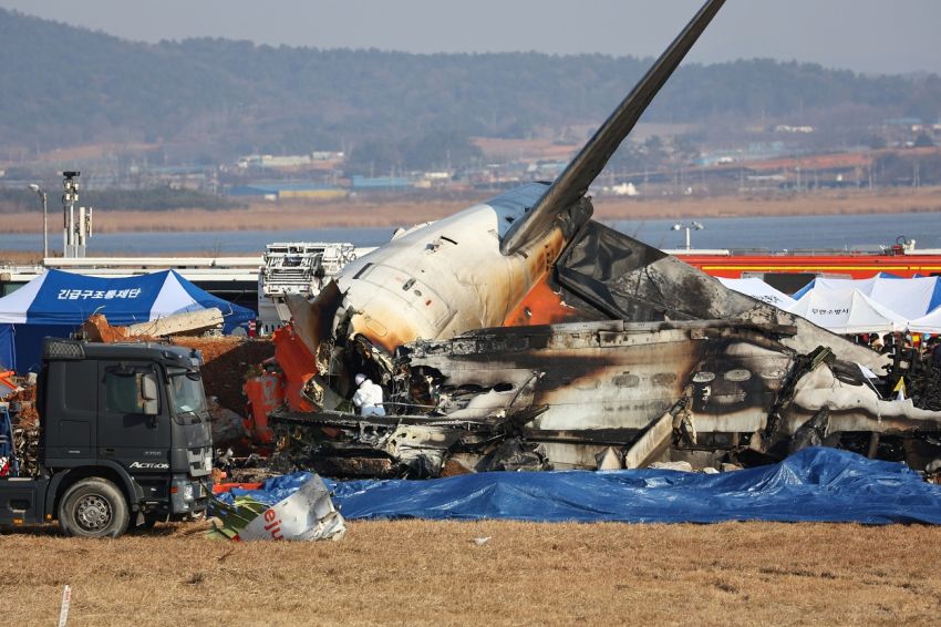 Janggal, Pakar Ragu Serangan Burung Penyebab Tunggal Tragedi Jeju Air Tewaskan 179 Orang