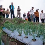 Ketahanan Pangan, Kementan-IsDB dan IFAD Kembangkan Pertanian Dataran Tinggi di Malang