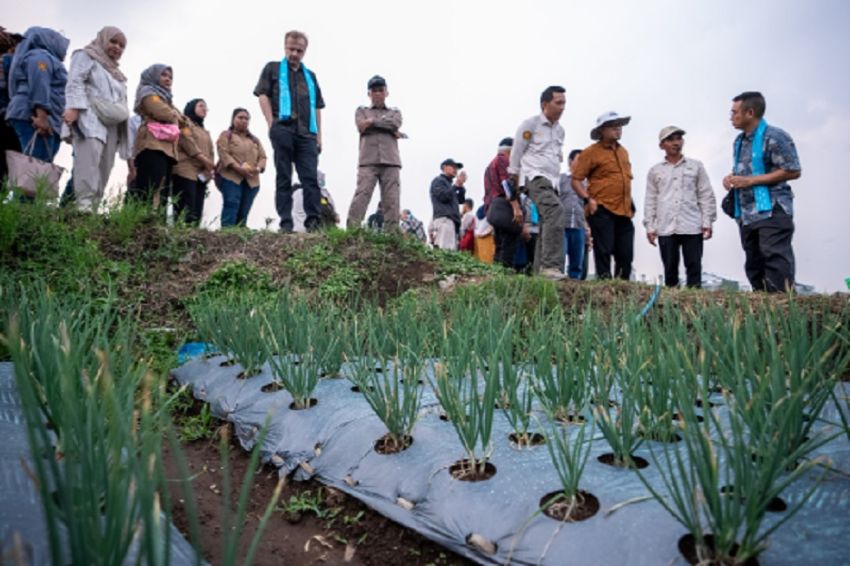 Ketahanan Pangan, Kementan-IsDB dan IFAD Kembangkan Pertanian Dataran Tinggi di Malang