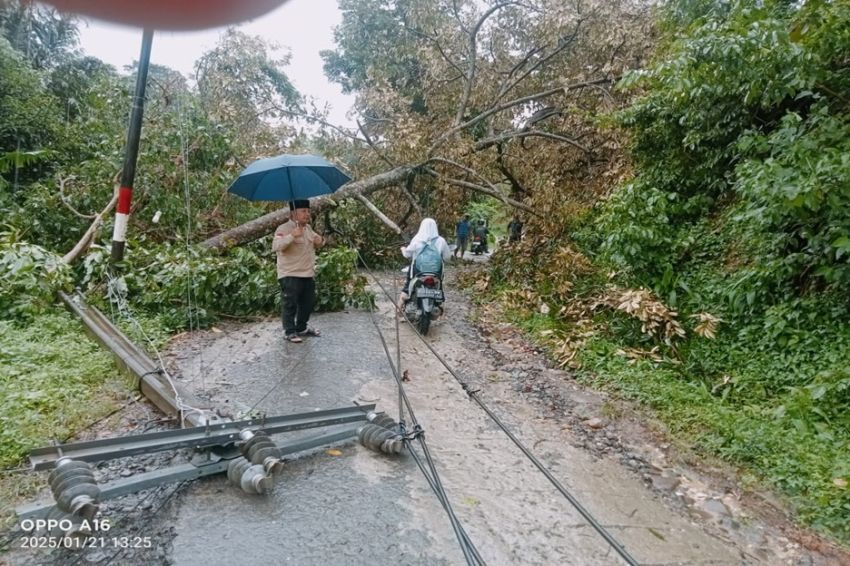 Listrik di Lebak Padam Berjam-jam usai Tiang Roboh Disapu Angin