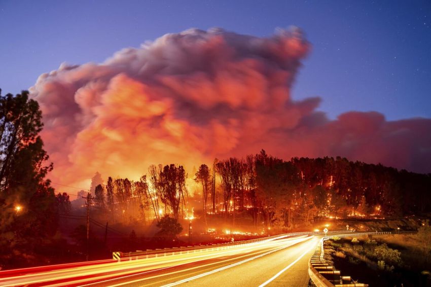 Mengapa Sering Terjadi Kebakaran Hutan di California? Ini Jawaban Ilmiahnya