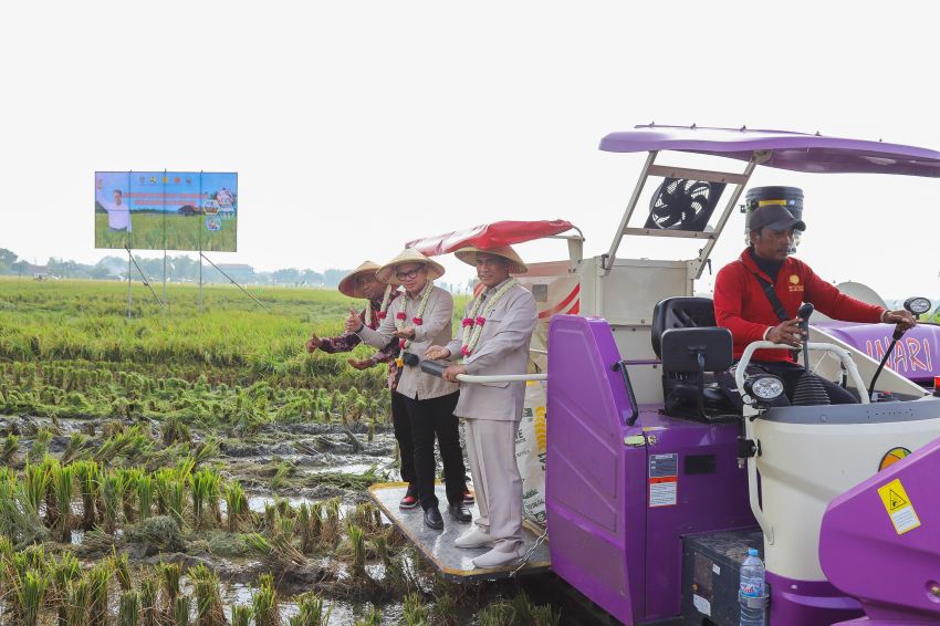 Mentan Amran Beri Bantuan Alsintan Tingkatkan Produksi Padi di Bangkalan