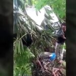 Mobil Wisatawan asal Tangerang Terjun ke Jurang 50 Meter di Gunung Halimun Salak